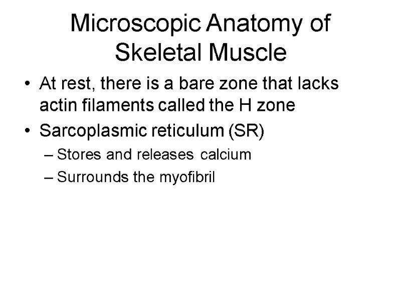Microscopic Anatomy of Skeletal Muscle At rest, there is a bare zone that lacks